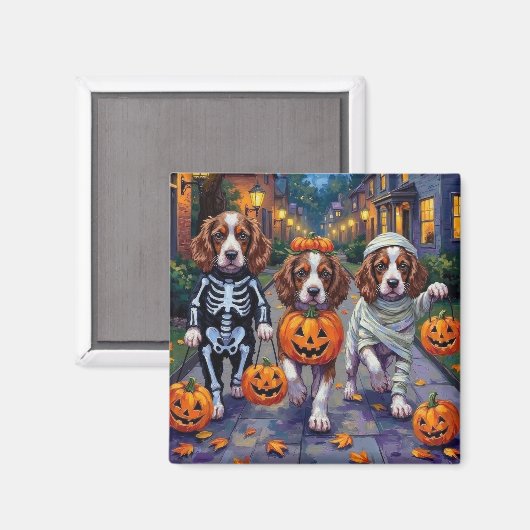 Springer Spaniel Hunde in Halloween-Kostümen Magnet (Vorderseite/Rückseite)