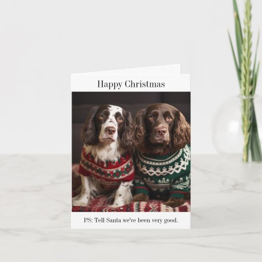 Springer Spaniel Hunde Weihnachtskarte Karte (Vorderseite)