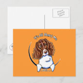Springer Spaniel IAAM Postkarte (Vorne/Hinten)