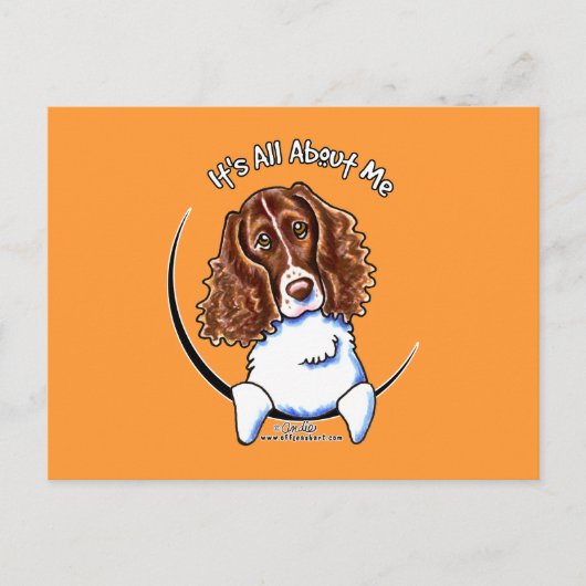 Springer Spaniel IAAM Postkarte (Vorderseite)