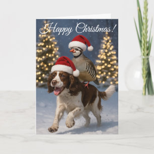 Springer Spaniel Jagdhund & Rebhuhn Weihnachtskart Feiertagskarte