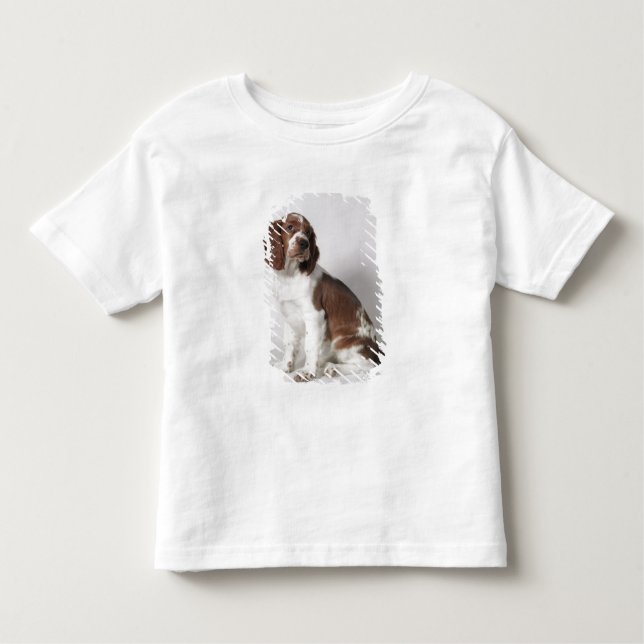 Springer Spaniel Kleinkind T-shirt (Vorderseite)