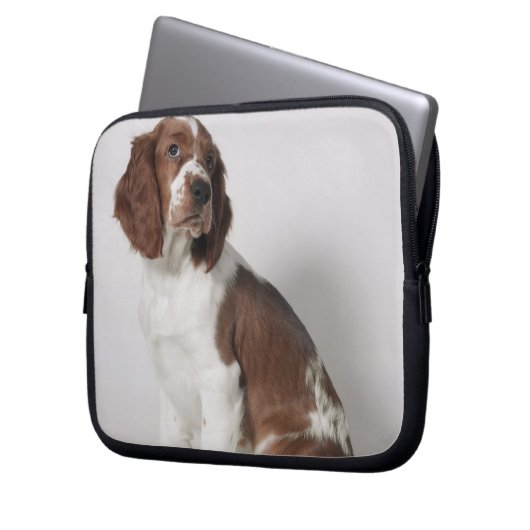 Springer Spaniel Laptopschutzhülle (Vorderseite Links)