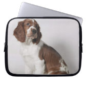 Springer Spaniel Laptopschutzhülle (Vorderseite)