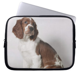 Springer Spaniel Laptopschutzhülle