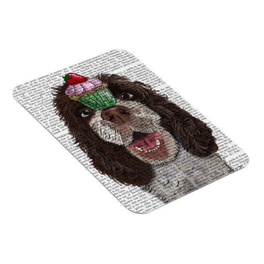 Springer Spaniel mit Cupcake Magnet (Rechte Seite)