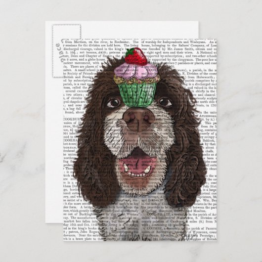 Springer Spaniel mit Cupcake Postkarte (Vorne/Hinten)