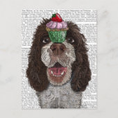 Springer Spaniel mit Cupcake Postkarte (Vorderseite)