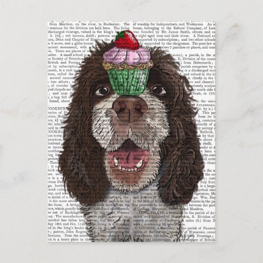 Springer Spaniel mit Cupcake Postkarte (Vorderseite)
