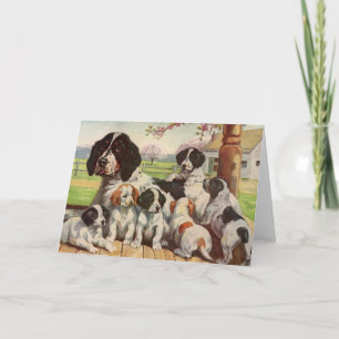 Springer spaniel Mutti und Welpen Karte
