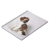 Springer Spaniel Notizblock (Linke Seite)