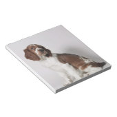 Springer Spaniel Notizblock (angewinkelt)