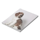 Springer Spaniel Notizblock (Rotiert)