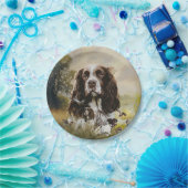 Springer Spaniel Pappteller (Party)