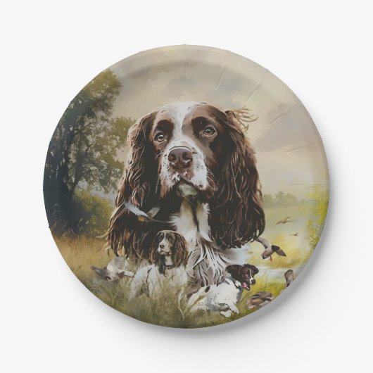 Springer Spaniel Pappteller (Vorderseite)