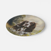 Springer Spaniel Pappteller (Schrägansicht)