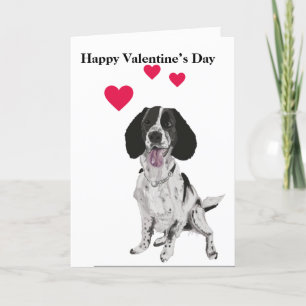 Springer Spaniel Portrait Valentinstag Feiertagskarte