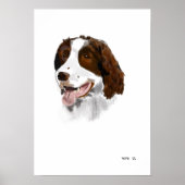 Springer Spaniel Poster (Vorne)