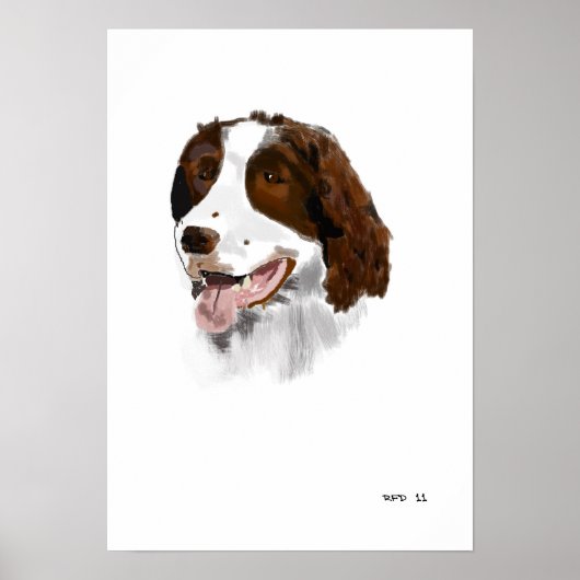 Springer Spaniel Poster (Vorne)