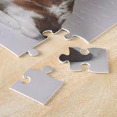 Springer Spaniel Puzzle (Seite)