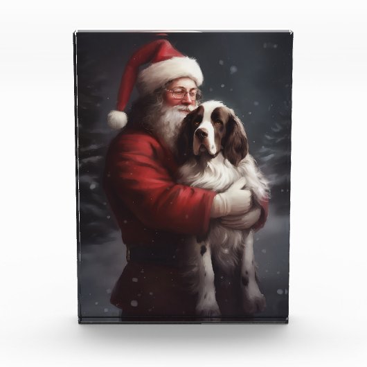 Springer Spaniel Santa Claus Festliche Weihnachten Fotoblock (Vorderseite)
