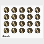 Springer Spaniel Sticker (Blatt)