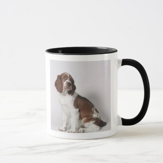 Springer Spaniel Tasse (Rechts)