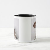 Springer Spaniel Tasse (Zentrum)