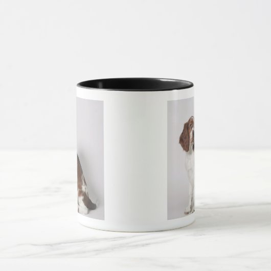 Springer Spaniel Tasse (Zentrum)