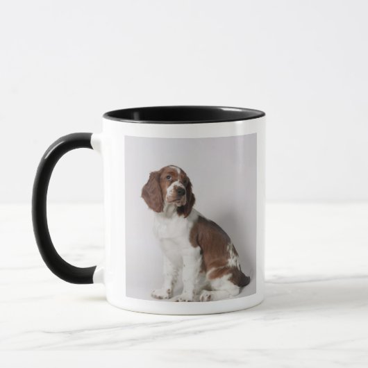 Springer Spaniel Tasse (Links)