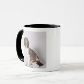 Springer Spaniel Tasse (Vorderseite Links)
