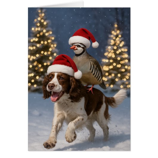 Springer Spaniel und Rebhuhn Weihnachtskarte (Vorne)