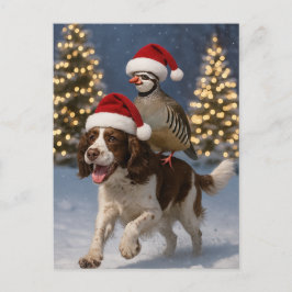 Springer Spaniel und Rebhuhn Weihnachtskarte Postkarte
