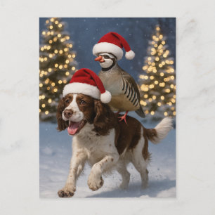 Springer Spaniel und Rebhuhn Weihnachtskarte Postkarte
