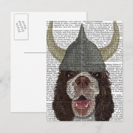 Springer Spaniel Viking Postkarte (Vorne/Hinten)