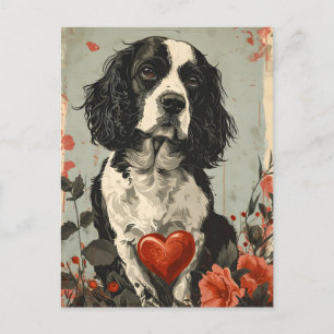 Springer Spaniel Vintag Valentinstag Postkarte