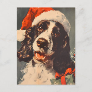 Springer Spaniel Weihnachten Postkarte