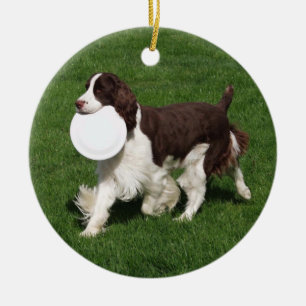 Springer Spaniel Weihnachtsdekoration Keramik Ornament