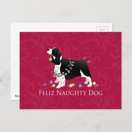 Springer Spaniel Weihnachtsdesign Feiertagspostkarte (Vorne/Hinten)