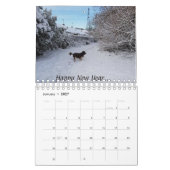Springer Spanielkalender Kalender (Jan 2027)