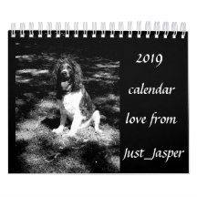 Springer Spanielkalender