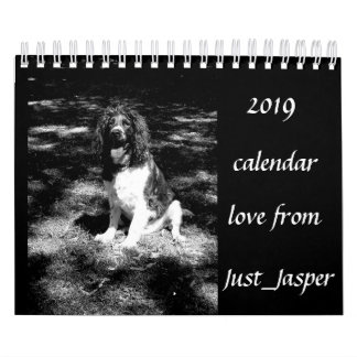 Springer Spanielkalender Kalender