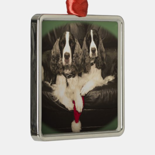 Springer-Spaniels-Verzierung Silbernes Ornament (Rechts)