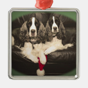 Springer-Spaniels-Verzierung Silbernes Ornament