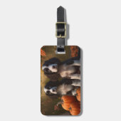 Springer Spanier Welpe Autumn Delight Pumpkin Gepäckanhänger (Vorderseite vertikal)