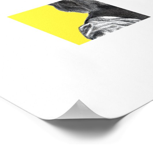 Springer Spanisch mit flachem Hut (Retro-Gelb) Poster (Ecke)