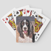Springer Spanischer Hund Spielkarten (Rückseite)