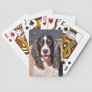 Springer Spanischer Hund Spielkarten