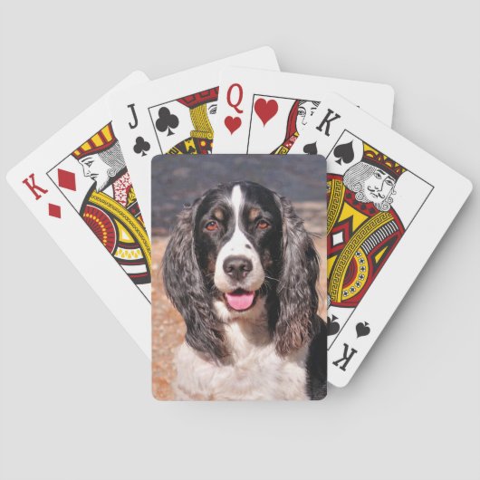 Springer Spanischer Hund Spielkarten (Rückseite)