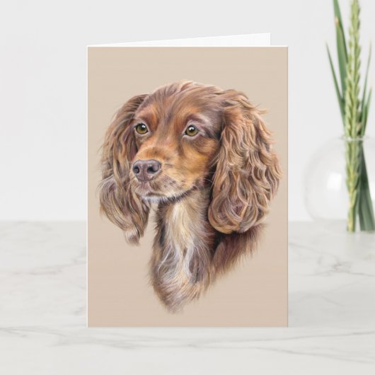 Springer Sprocker Cocker Spaniel Grußkarte Karte (Vorderseite)